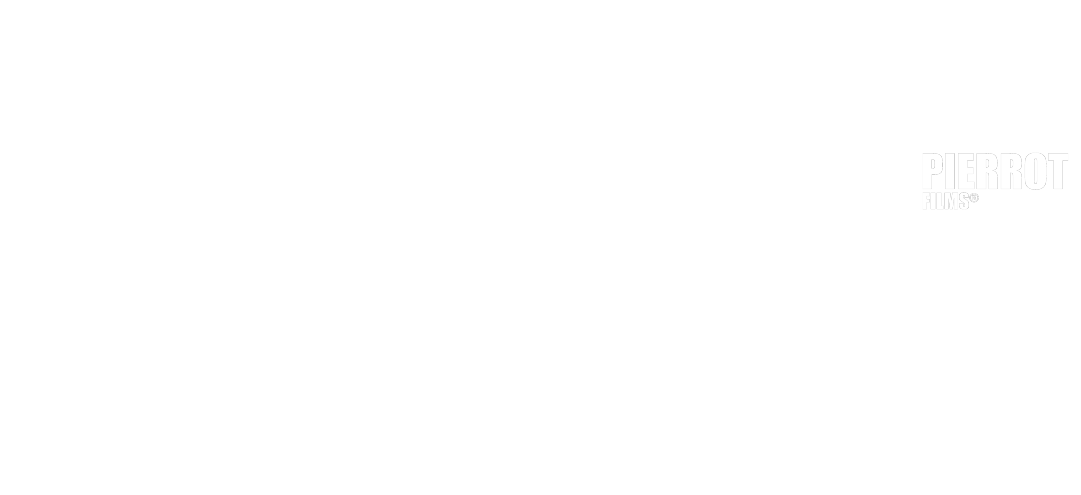 Organizador 3